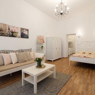 Pronájem bytu 1+1 36 m² Praha, Preslova