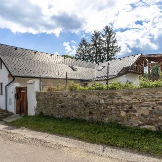 Prodej hotelu a penzionu 250 m² Rožmberk nad Vltavou, 