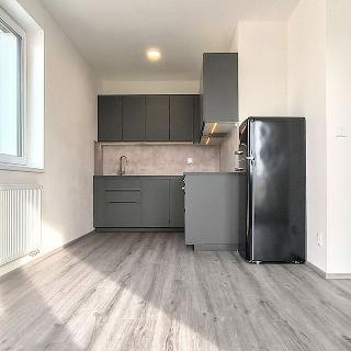 Pronájem bytu 2+kk 53 m² Praha, Želetická