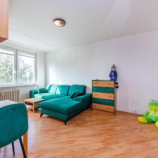 Prodej bytu 1+1 30 m² Praha, Mazurská