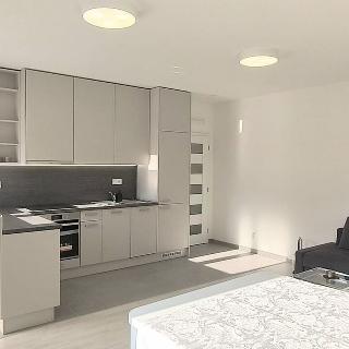 Pronájem bytu 3+kk 61 m² Praha