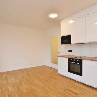 Pronájem bytu 1+kk a garsoniéry 27 m² Praha, Hasilova