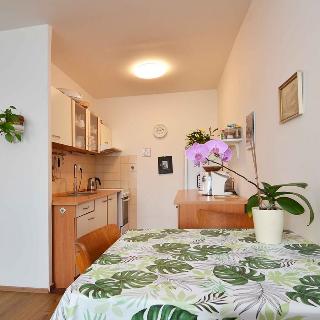 Prodej bytu 2+kk 45 m² Praha, V remízku