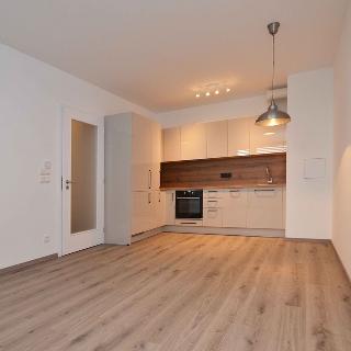 Pronájem bytu 2+kk 46 m² Praha, Olgy Havlové