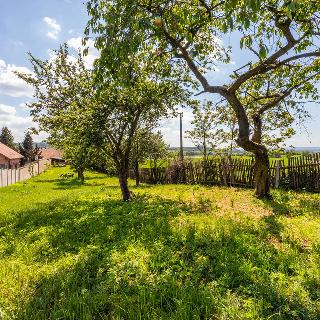 Prodej rodinného domu 270 m² Řevničov, Karlovarská