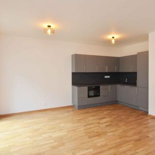 Pronájem bytu 2+kk 69 m² Praha, Kolmanova