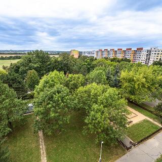 Prodej bytu 3+1 74 m² Praha, Rezlerova