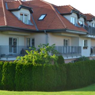 Prodej bytu 1+kk, garsoniery 40 m² Holubice