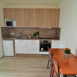 Pronájem bytu 1+kk, garsoniery 35 m² Praha