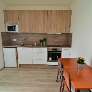 Pronájem bytu 1+kk a garsoniéry 35 m² Praha, Sazovická