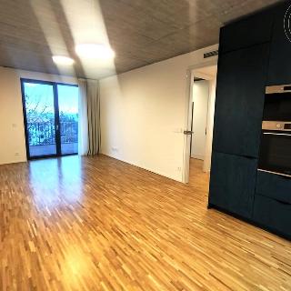 Pronájem bytu 2+kk 47 m² Praha, Na Třebešíně