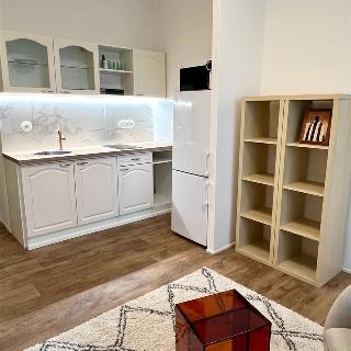 Pronájem bytu 1+kk a garsoniéry 23 m² Praha, Královická