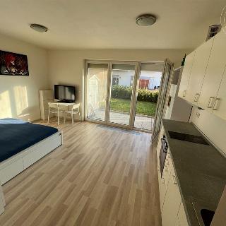 Pronájem bytu 1+kk a garsoniéry 32 m² Praha, Štanderova