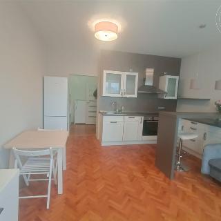 Pronájem bytu 2+kk 51 m² Praha, Na Veselí