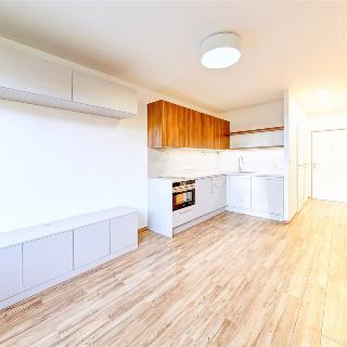 Pronájem bytu 1+kk a garsoniéry 23 m² Praha, Jasmínová