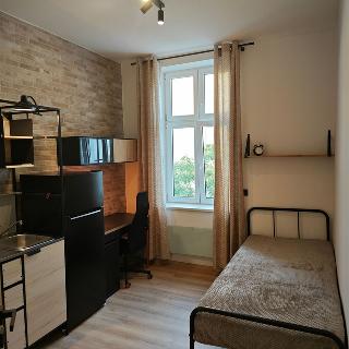 Pronájem bytu 1+kk a garsoniéry 16 m² Praha, Turnovská