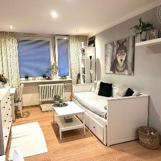 Pronájem bytu 2+kk 42 m² Praha, Štichova