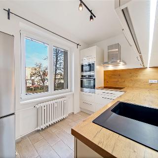 Pronájem bytu 2+1 60 m² Praha, Elišky Přemyslovny