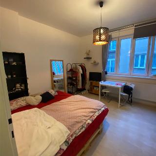 Pronájem bytu 1+kk a garsoniéry 30 m² Praha, Za Poříčskou bránou