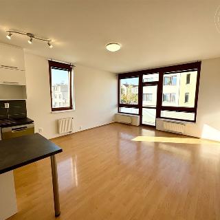 Pronájem bytu 3+kk 70 m² Praha, Laudonova