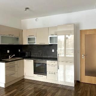 Pronájem bytu 2+kk 55 m² Praha, Radimova