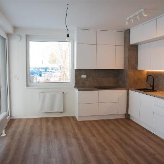 Pronájem bytu 3+kk 78 m² Praha, Čakovická