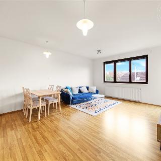 Pronájem bytu 2+kk 51 m² Praha, Na výspě