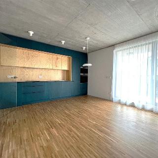 Pronájem bytu 3+kk 96 m² Praha, Na Třebešíně