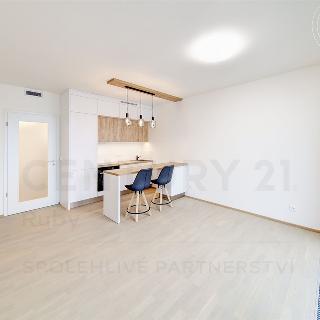 Pronájem bytu 1+kk a garsoniéry 40 m² Praha, Mezi vodami