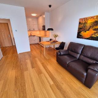 Pronájem bytu 2+kk 50 m² Praha, Hasilova