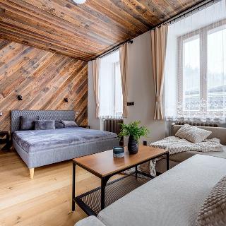 Pronájem bytu 1+kk, garsoniery 31 m² Bedřichov