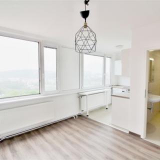 Pronájem bytu 1+kk a garsoniéry 21 m² Praha Michle, Na záhonech