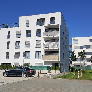 Prodej bytu 1+kk a garsoniéry 36 m² Brno, Karla Kryla