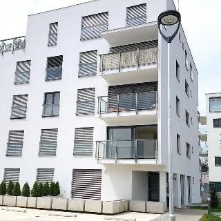 Pronájem bytu 1+kk a garsoniéry 30 m² Brno, Karla Kryla