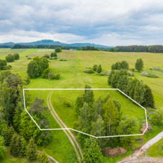 Prodej stavební parcely 4 001 m² Horní Stropnice Rychnov u Nových Hradů