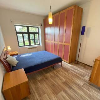 Pronájem bytu 3+kk 55 m² Řehenice