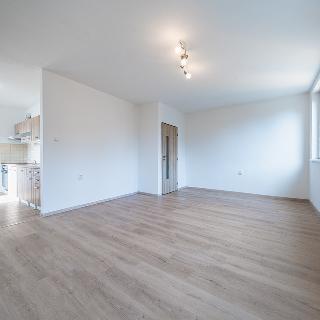 Pronájem bytu 3+kk 73 m² Netvořice, Sídliště II.