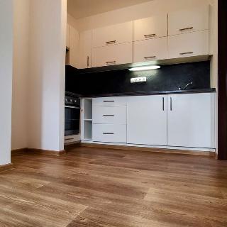 Pronájem bytu 2+kk 60 m² Letohrad