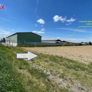 Prodej zemědělské půdy 5 000 m² Dolany