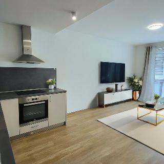 Prodej bytu 2+kk 56 m² Prostějov, Partyzánská