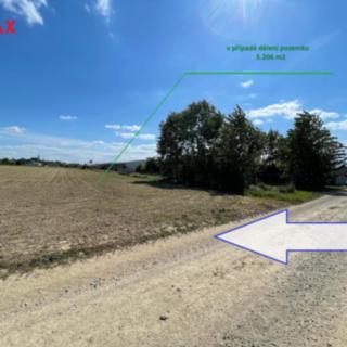 Prodej zemědělské půdy 5 206 m² Dolany