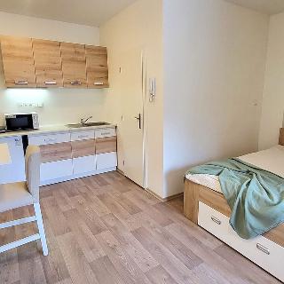 Pronájem bytu 1+kk a garsoniéry 24 m² Olomouc, Vratislavova