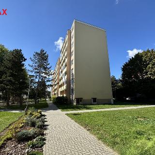 Prodej bytu 3+1 74 m² Mohelnice, Na Zámečku