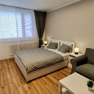 Pronájem bytu 1+1 40 m² Zábřeh, Severovýchod