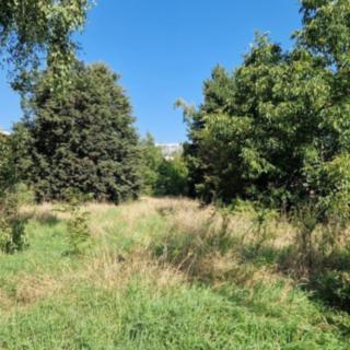 Prodej stavební parcely 4973 m&sup2; Praha