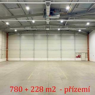 Pronájem skladu 1 393 m² Čestlice, Říčanská