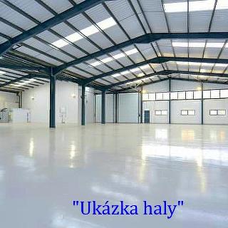 Pronájem skladu 4 800 m² Kozomín