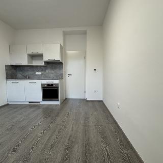 Pronájem bytu 1+kk a garsoniéry 25 m² Praha, Omská