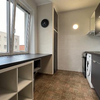 Pronájem bytu 2+1 53 m² Praha, Kafkova