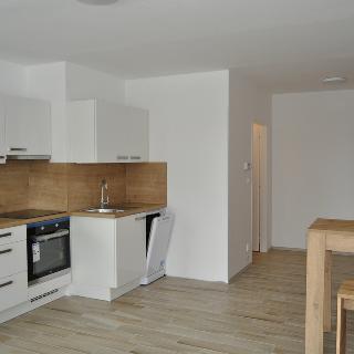 Pronájem bytu 1+kk a garsoniéry 48 m² Praha, Hennerova